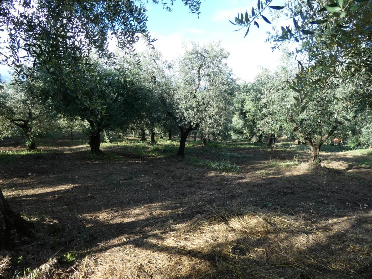 I Due Melograni Agriresort Tarano Exterior photo