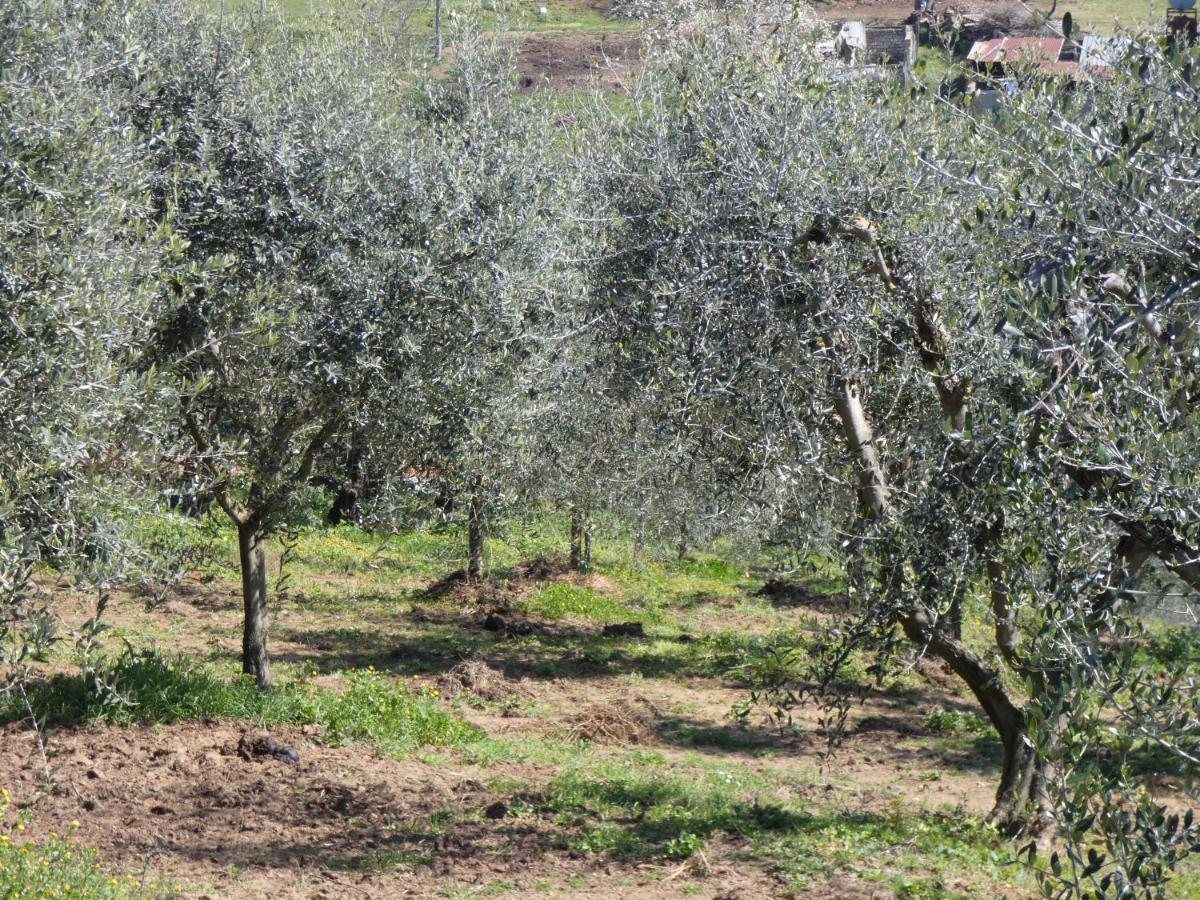 I Due Melograni Agriresort Tarano Exterior photo